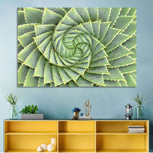 Spiral Aloe Wall Art