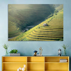 Golden Rice Terraces Wall Art