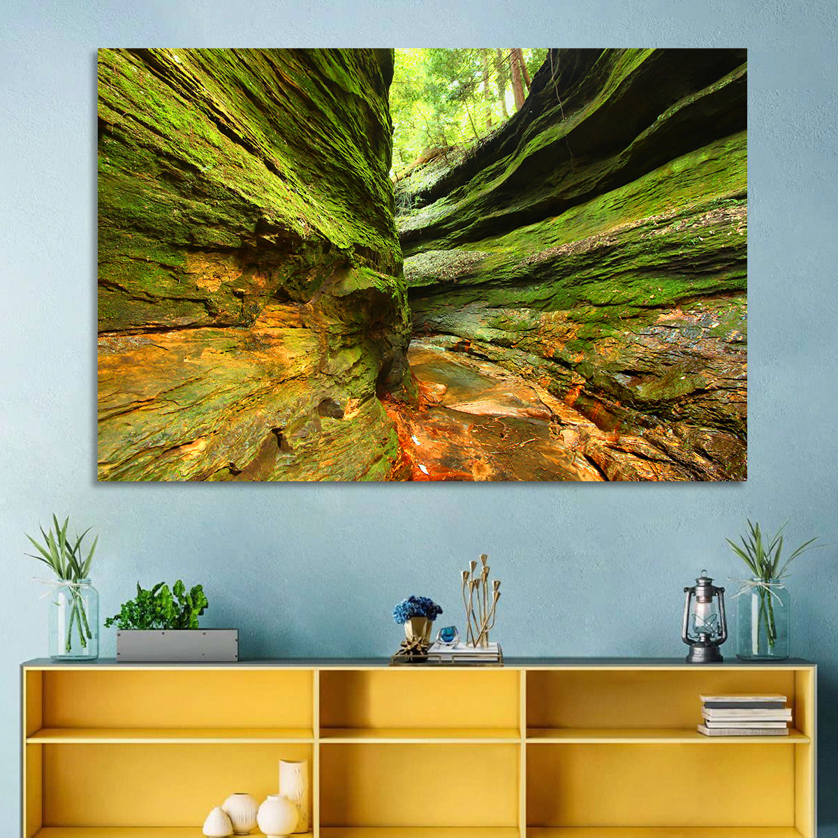 Turkey Run State Park Canyon Wall Art in a room, landscape