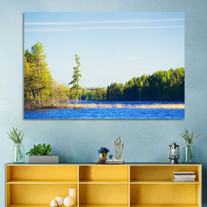 Summer Forest Lake Wall Art