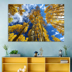 Golden Aspen Canopy View Wall Art