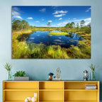 Viru Bogs Reflections Wall Art