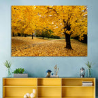 Baltimore Autumn Foliage Wall Art