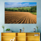 Kansas Wheat Fields Wall Art