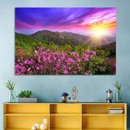 Hwangmaesan Mountain Wall Art