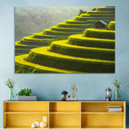 Golden Rice Terraces Wall Art