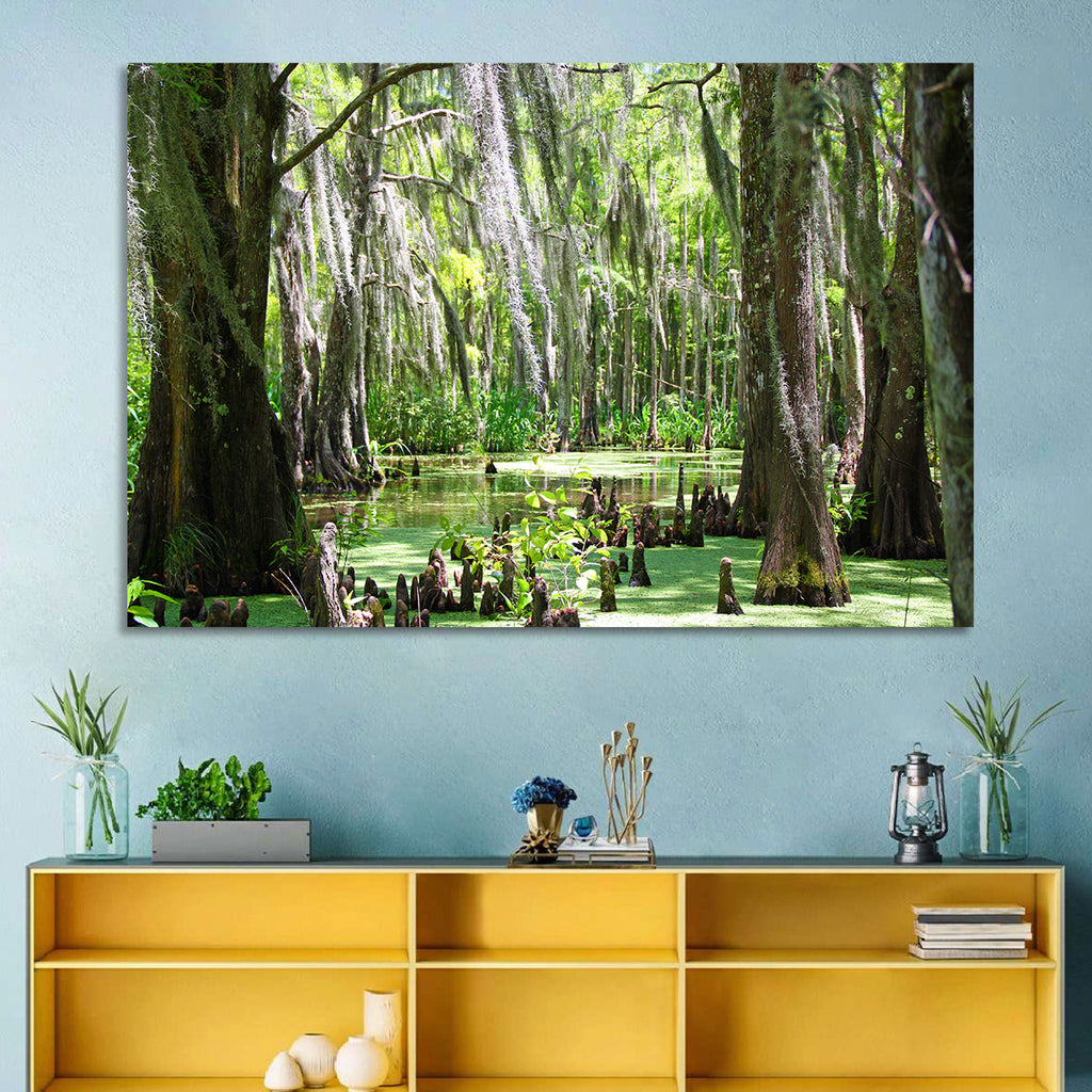 Louisiana Cypress Swamp Wall Art
