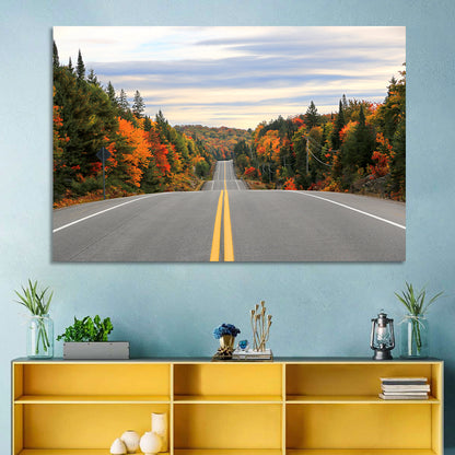 Algonquin Park Road Wall Art