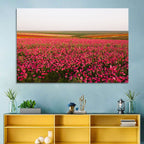 Pink Ranunculus Flower Field Wall Art
