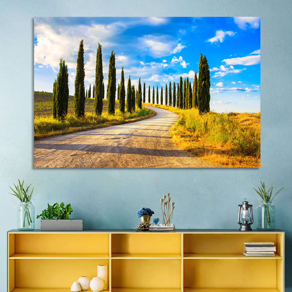 Sunlit Tuscany Cypress Road Wall Art
