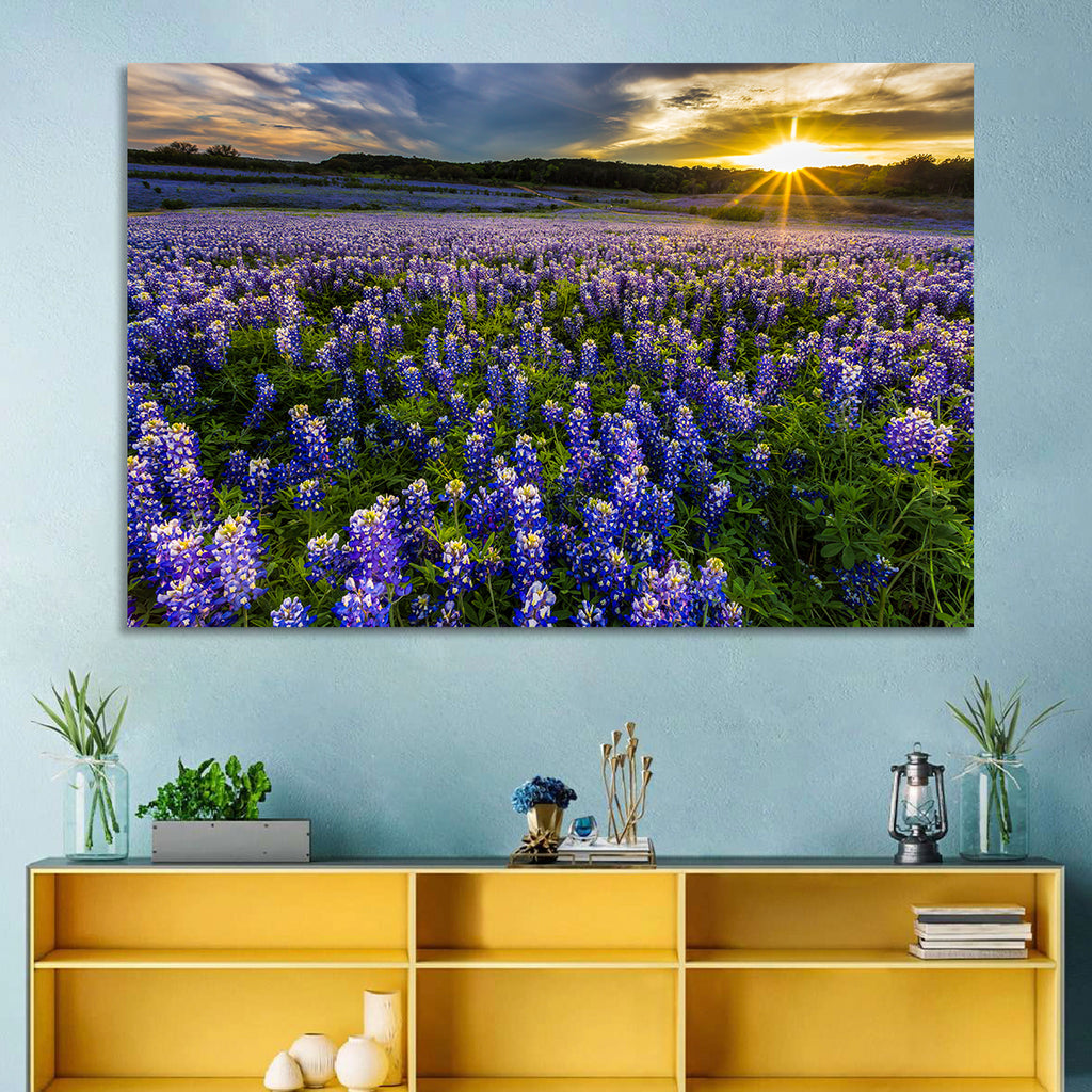 Texas Bluebonnet Field at Sunset Wall Art