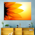 Backlit Sunflower Petals Wall Art