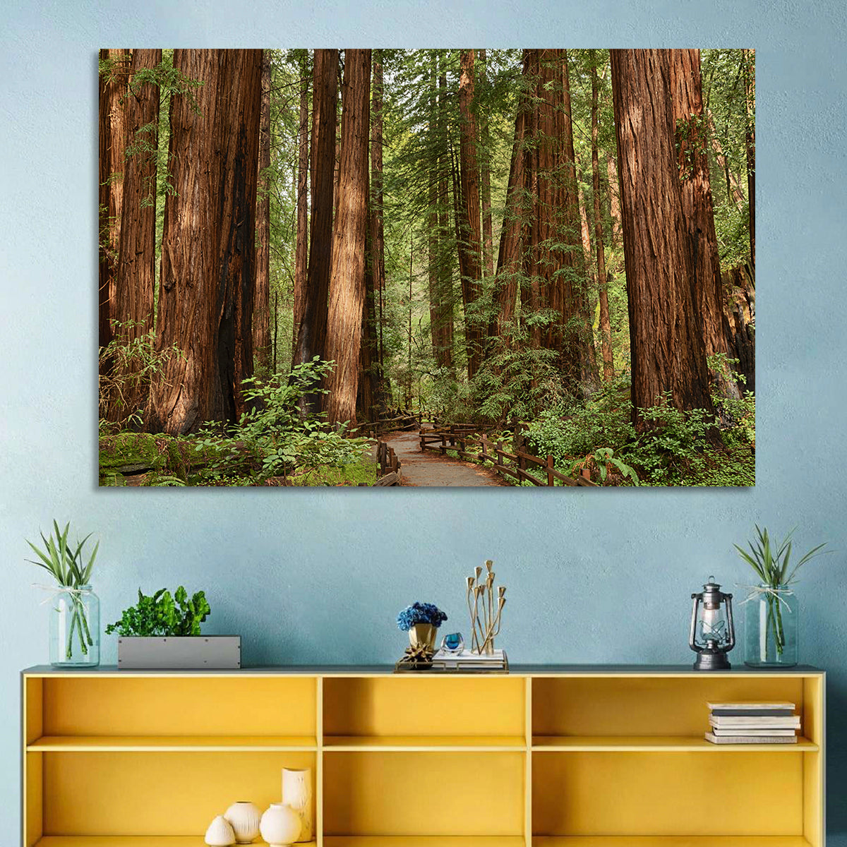 Muir Woods Redwood Trail Wall Art