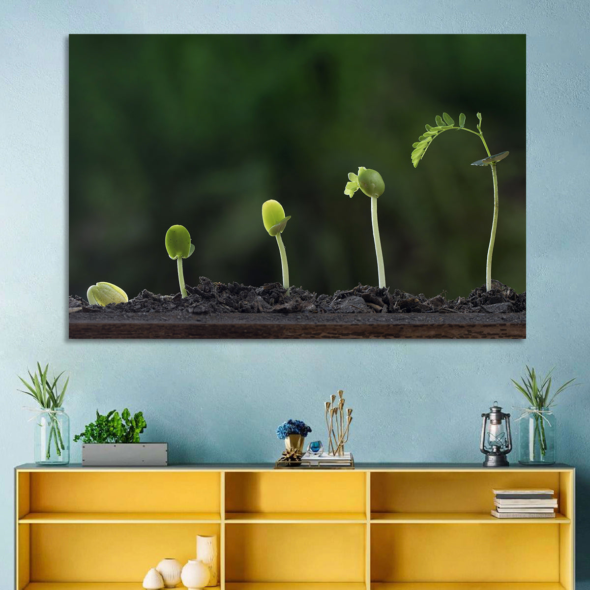 Five-stage Plant Growth Wall Art in a room, landscape