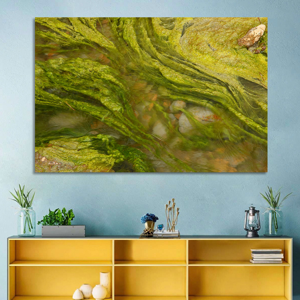 Macro Algae Stream Wall Art in a room, landscape