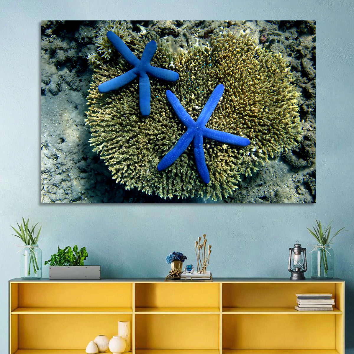 Blue Starfish Wall Art in a room, landscape