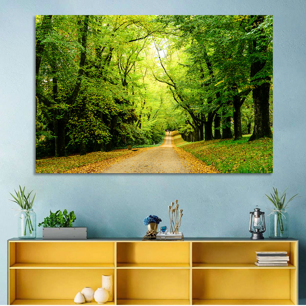 Sunlit Forest Pathway Wall Art