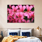 Pink Geranium Close Up Wall Art