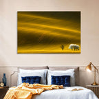 Golden Hour Rapeseed Field Wall Art