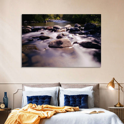 Reno Truckee River Wall Art