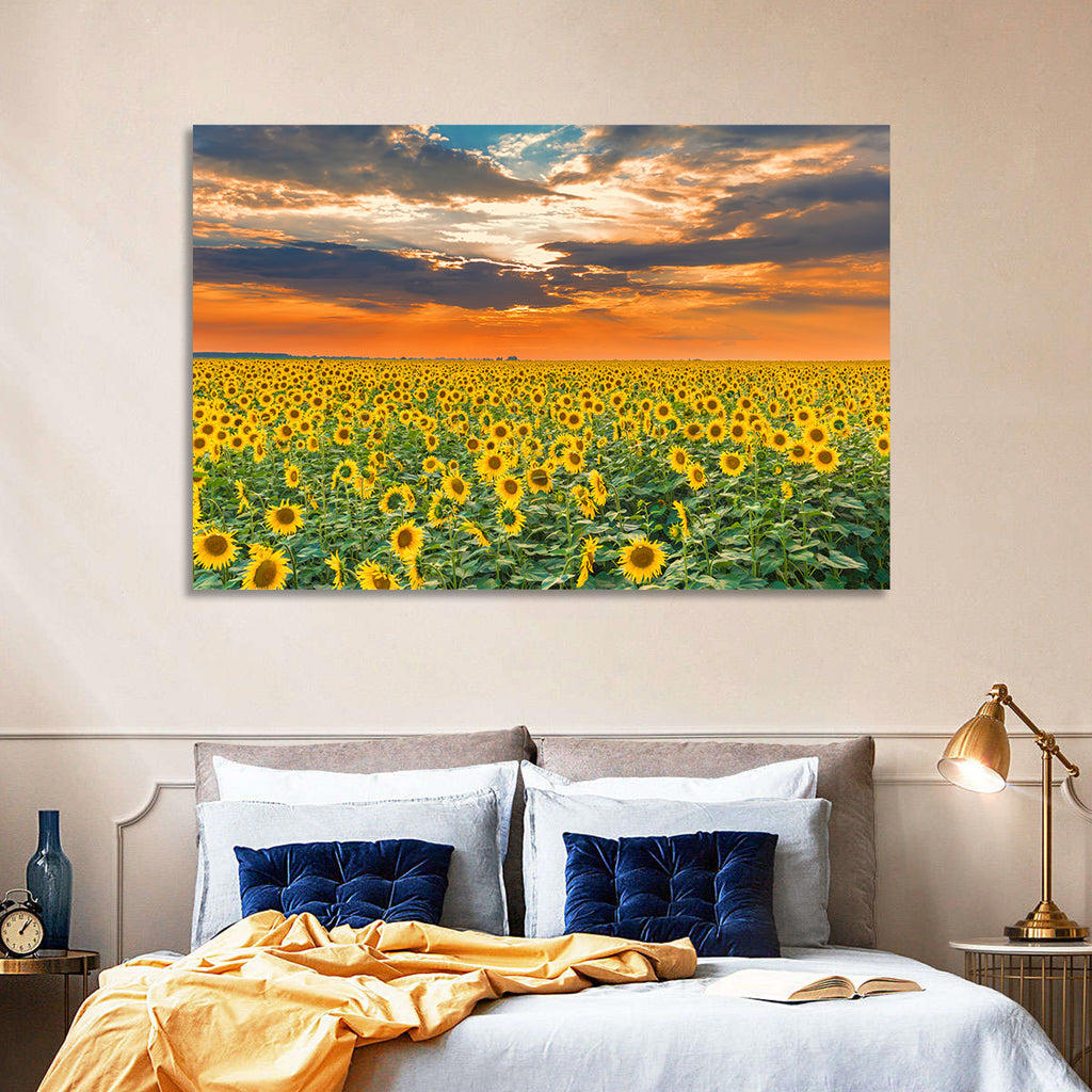 Golden Hour Sunflower Field Wall Art