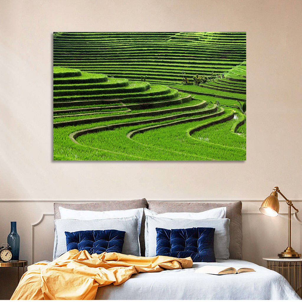 Lush Rice Terraces Wall Art