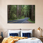 Winding Redwood Forest Road Wall Art