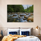Lynn Canyon Riverbed Forest Wall Art