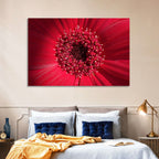 Red Gerbera Daisy Macro Close Up Wall Art
