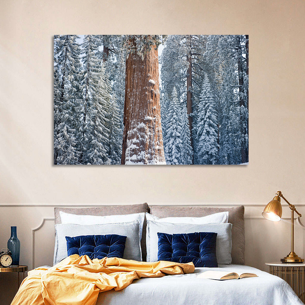 Winter Giant Sequoia in Snowy Forest Wall Art