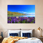 Lake Tekapo Lupine Fields Wall Art