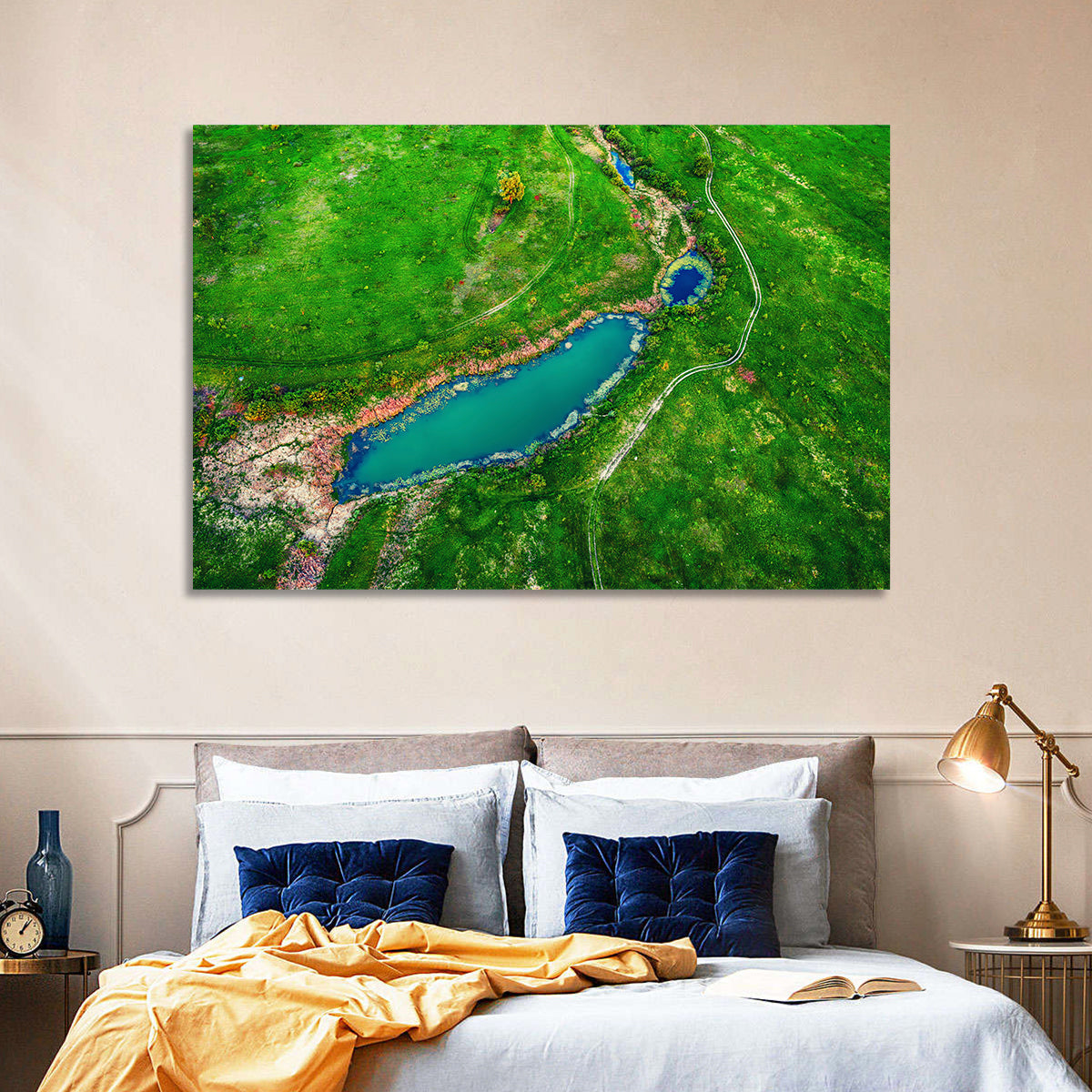 Meadows Lake Aerial Wall Art