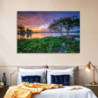 Cipondoh Lake Hyacinth Sunset Wall Art