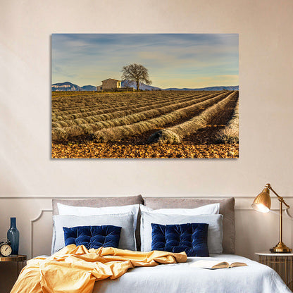 Provence Lavender Wall Art