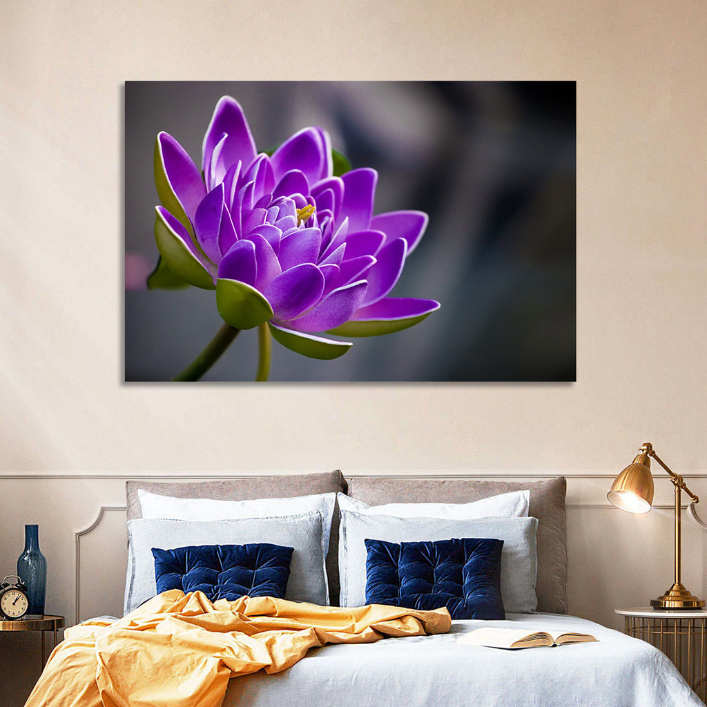 Purple Water Lily Close-up Wall Art