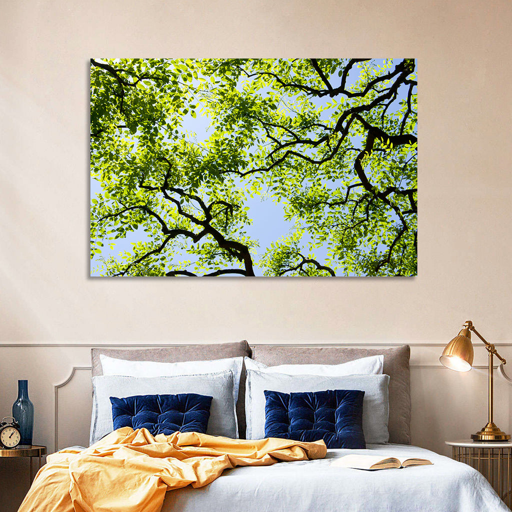 Sunlit Tree Canopy Wall Art