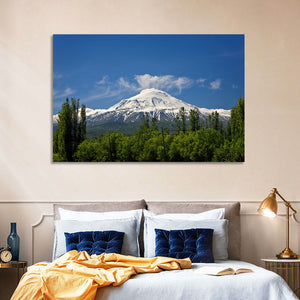 Mount Ararat Wall Art