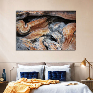 Juniper Wood Texture Wall Art