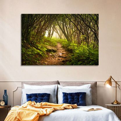 Craggy Gardens Hiking Trail Wall Art