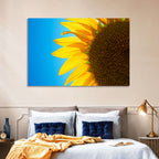Sunflower Close-up Wall Art