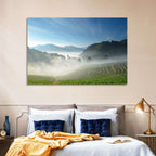 Sunlit Terraced Tea Hills Wall Art