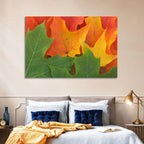 Autumn Maple Leaves Wall Art