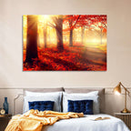 Sunlit Forest Path Wall Art