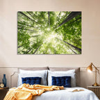 Spring Canopy in Morning Mist Wall Art