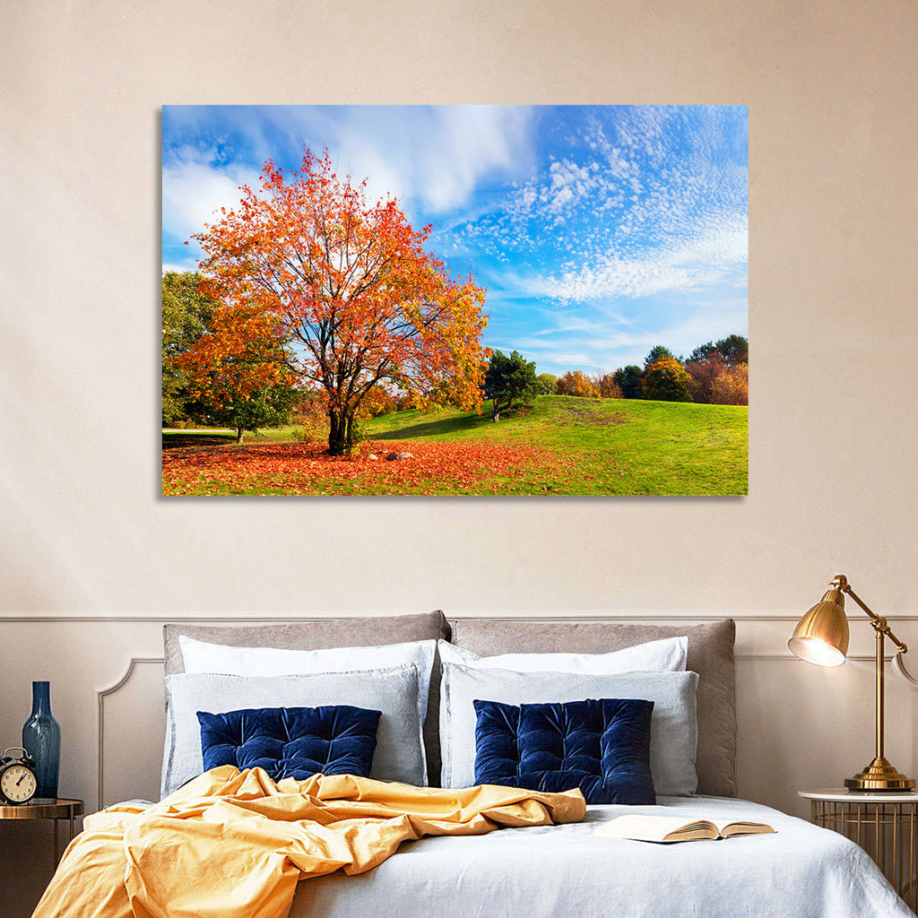 Orange Maple on Rolling Hill Wall Art