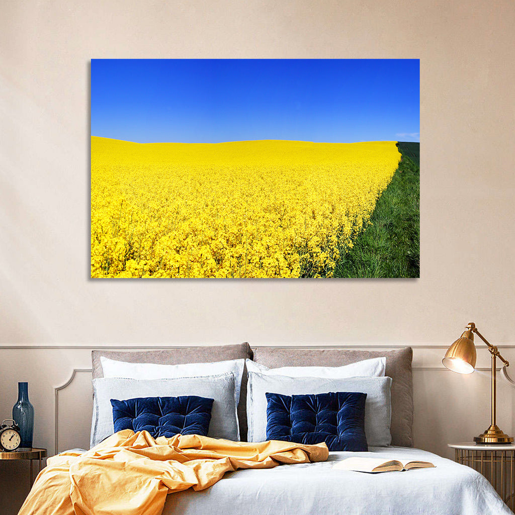 Sunlit Rapeseed Field Wall Art
