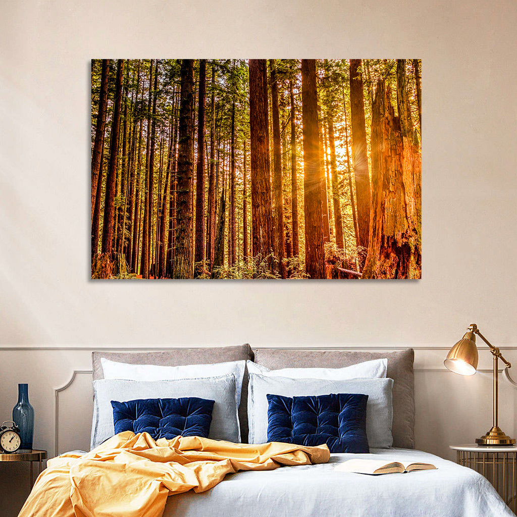 Golden Hour Redwood Sunburst Wall Art