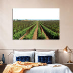 Tomato Fields Wall Art