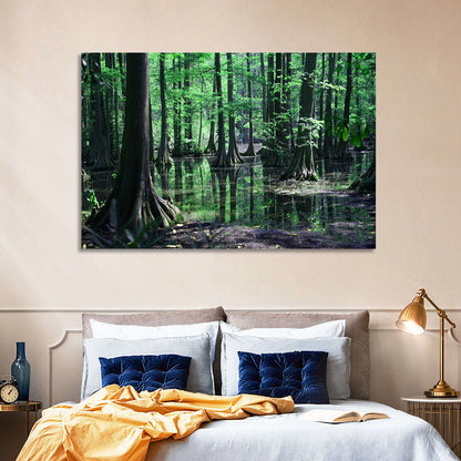 Congaree Swamp Columbia Wall Art