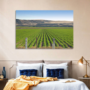 Idaho Corn Field Wall Art